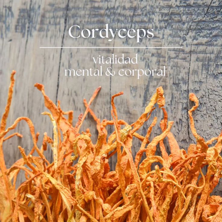 cordycep