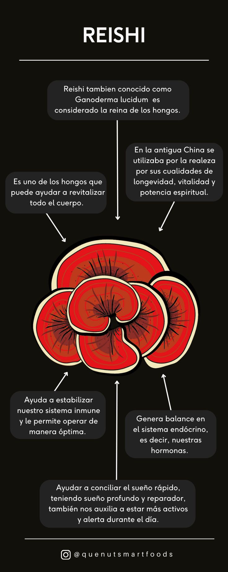 Reishi